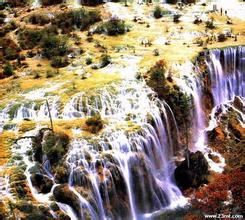 ��Ƶ�����ַ���Ƶ��ס����������������˹��в�Ȩ��...